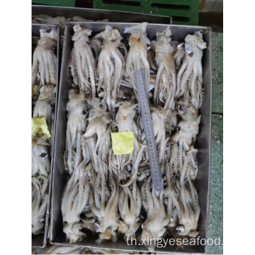Frozen Squid Lotheaver Tentacles Nototodarus Sloanii 180-200g